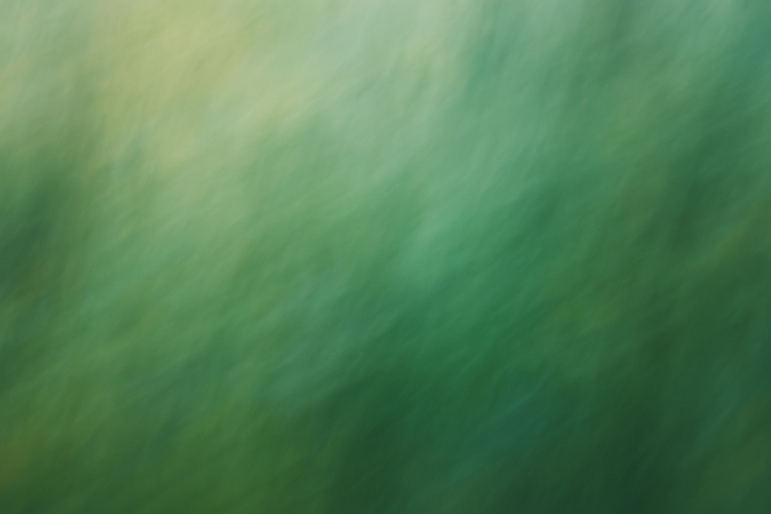 Abstract green ambient texture, soft motion blur resembling mist or cedar forest foliage.