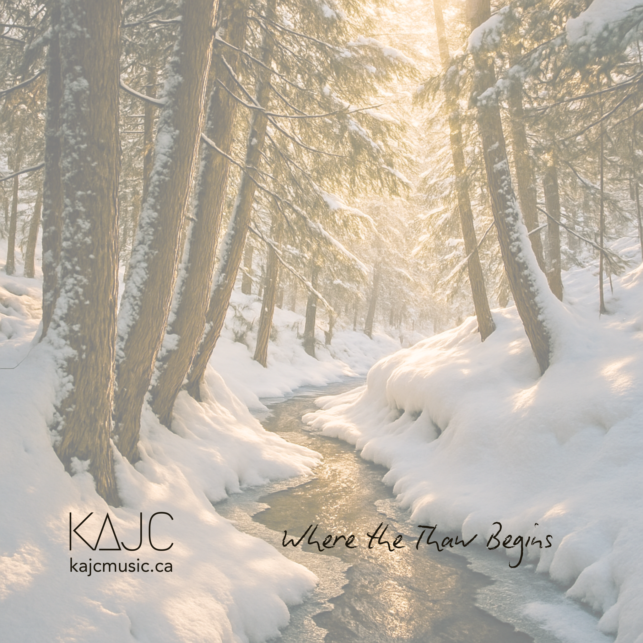 A narrow forest stream slowly winds through a snowy cedar forest, surrounded by deep snowbanks. Golden light filters through the trees, casting a warm glow on the snow and water. The scene is still, peaceful, and quietly luminous — capturing the subtle shift between stillness and awakening.